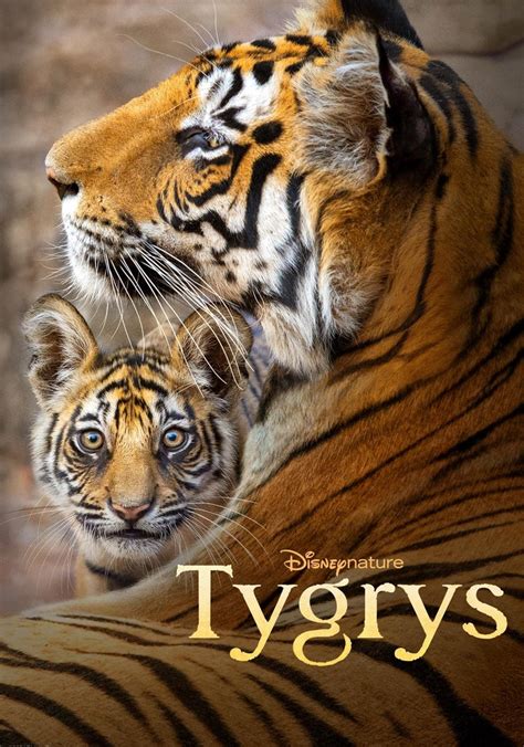 tygrf|tygrys film.
